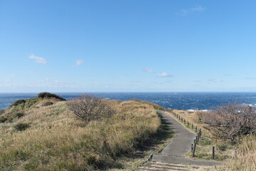 あいあい岬　ユウスゲ公園　静岡県下田市　Cape Aiaimisaki Yusuge Park Shimoda City, Shizuoka Prefecture