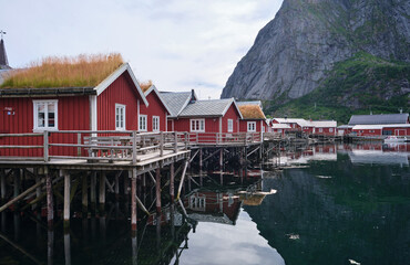 Fototapeta na wymiar fishing village in the lofoten 