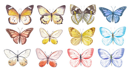 Set of watercolor colorful butterflies on a white background.