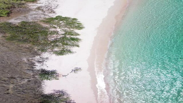 Pink Beach Komodo National Park, beautiful tropical beach in sunny day. Aerial Pink Beach, Tropical Island