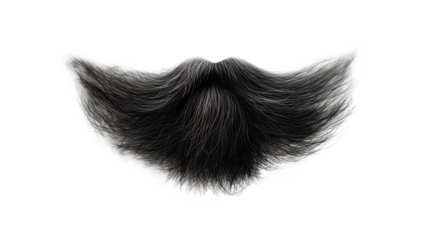 Black beard. Isolated on transparent background
