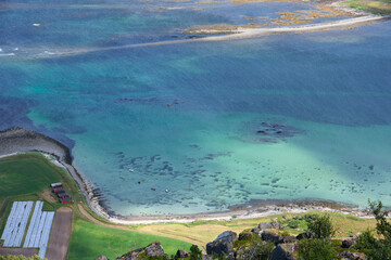 aerial view of beach and clear water in the lofoten - obrazy, fototapety, plakaty