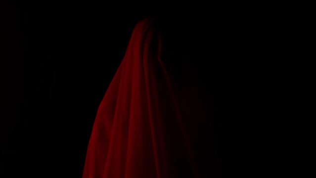 Female ghost in a house. A woman in a white dress with a veil covering her face is walking down a hallway. Flashing red horror light.