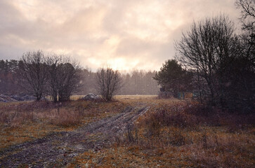 Fototapeta na wymiar Landscape with a dirt road and trees covered with frost in late autumn