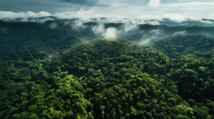 Fototapeta premium An aerial view of the Amazon rainforest with dense green trees covering the ground, slow shutter speed photography, pencil drawing, 2K, high resolution 