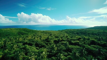 Naklejka premium A bird's-eye view of green trees and blue sky, degree offset method, Caribbean, 64K, hyper quality