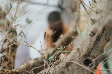 Blurred photo of black, businessman working at the office. Focus on a stem of a tree.