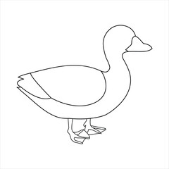 A duck Continuous single line drawing vector illustration. Continuous outline of Animal bird icon
