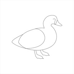 A duck Continuous single line drawing vector illustration. Continuous outline of Animal bird icon
