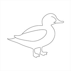 A duck Continuous single line drawing vector illustration. Continuous outline of Animal bird icon
