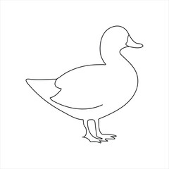 A duck Continuous single line drawing vector illustration. Continuous outline of Animal bird icon
