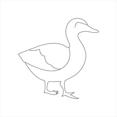 A duck Continuous single line drawing vector illustration. Continuous outline of Animal bird icon
