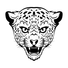 Cheetah leopard head drawing black and white vector illustration