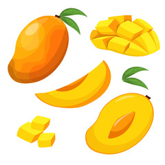 Mango whole and cut. Vector illustration