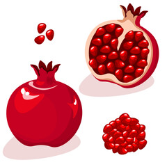 Pomegranate whole and cut in half. Pomegranate seeds. Vector illustration