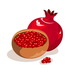 Pomegranate seeds in a plate. Vector illustration