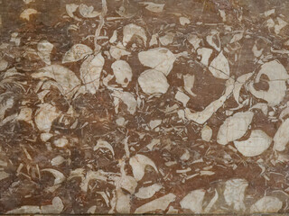 Ungewöhnlich schöne Marmor Oberfläche in Beige und Grautönen im Markus Dom in Venedig. Gut als Hintergrund Texture und Muster. Das Muster erinnert an Blumen