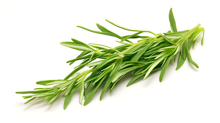 Fototapeta premium Fresh Tarragon Sprig Isolated, White Background