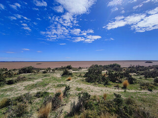 Coastline in Patagonia, Tierra del Fuego, Argentina.