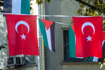 Turkish flags and Palestinian flags hanging on the street