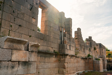 Fototapete bei efototapeten.de bestellen   