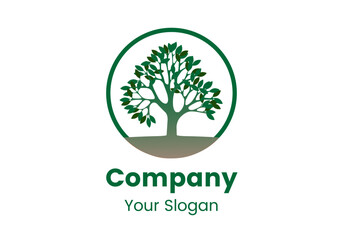 Fototapeta premium tree with leaves