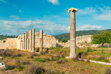 Fototapete bei efototapeten.de bestellen   