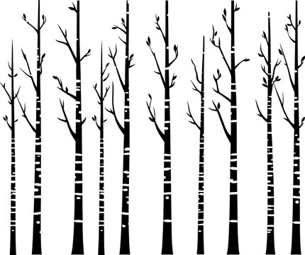 Black and White Vector Birch Tree Silhouette Background with Birds. AI generated illustration.