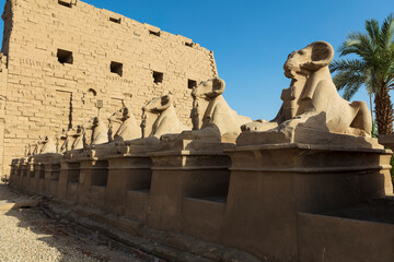 Egypt Luxor. Karnak Temple on a sunny autumn day