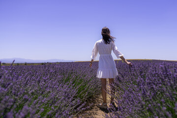 Fototapeta na wymiar Young woman walk in blooming fragrant lavender on fields with endless rows. Bushes of lavender purple aromatic flowers on lavender fields