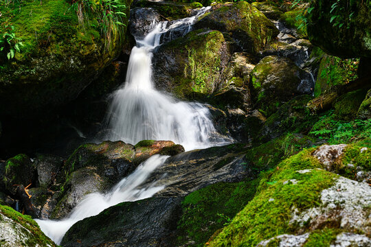 a hike through the wild Ysperclam