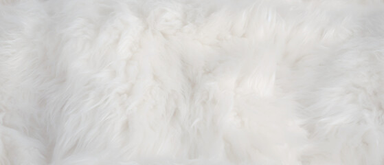 Obraz premium Long white fur. Seamless background or texture.