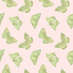 Abstract delicate butterflies on a light pink background, watercolor illustration