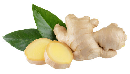 Ginger with leaves - isolated on transparent background