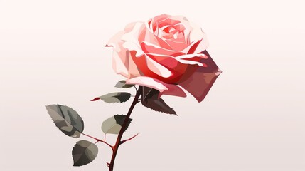  a single pink rose with green leaves on a white background with a shadow of the rose on the right side of the frame.