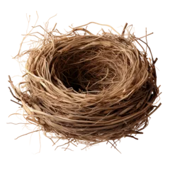 Tuinposter bird nest isolated on white © Daisy