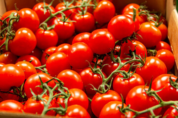 cherry tomatoes on a branch in a store on the counter in a box close-up