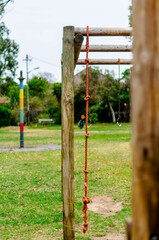 Fototapeta premium park