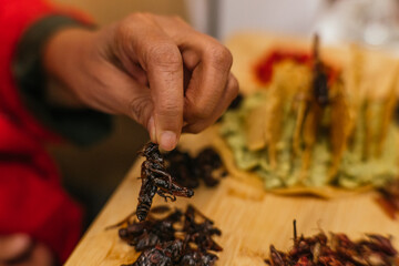 Delicious insect board with guacamole and toast, with grasshoppers, chinicuiles, escamoles, chicatanas, acosiles, scorpions. Traditional pre-Hispanic Mexican food.