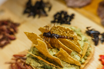 Delicious insect board with guacamole and toast, with grasshoppers, chinicuiles, escamoles,...