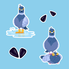 Vector collection of funny stickers with pigeons in cartoon style