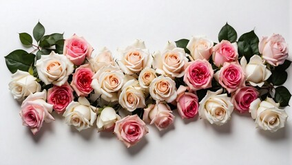 Roses Standing on White Background, Valentine's Day