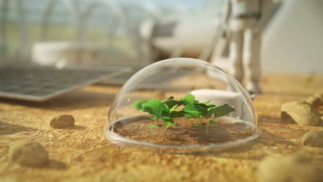 Plants Grow with Mars 4K stock video Mars - Planet,
Colony - Territory,
Futuristic,
