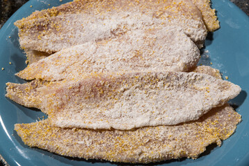Macro of fish fillet encrusted with a mix of wheat and corn flour mix ready to cook. Home cooking concept.