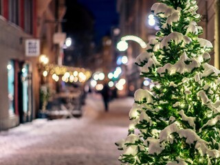 a small christmas tree in the middle of a street with lights on it