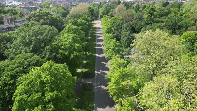 High drone footage of a trail between green trees in Victoria Park in East London, England