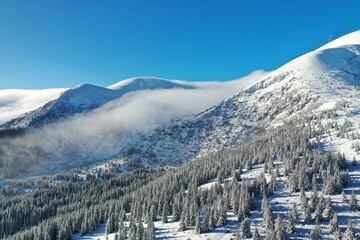 trees covered in snow on a mountain slope above clouds moving through them