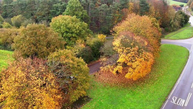 Drone footage of cars driving on a road passing through colorful vibrant woods in Oxted, England