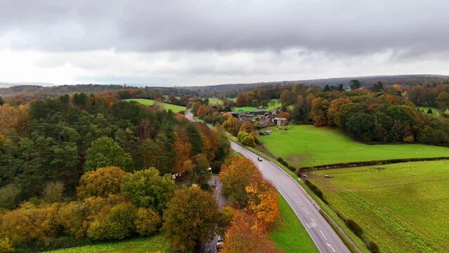 Drone footage of cars driving on a road passing through colorful woods in Oxted, Surrey, England