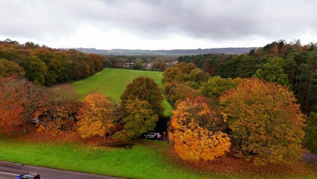 Drone footage of cars driving on a road passing through colorful woods in autumn Oxted, England
